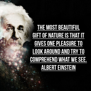 Albert Einstein Quotes About Peace