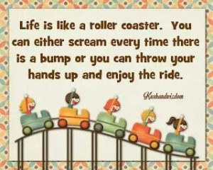 Life is like a roller coaster....