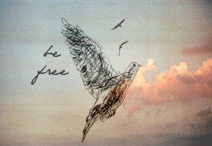 be free inspirational bird freedom quote