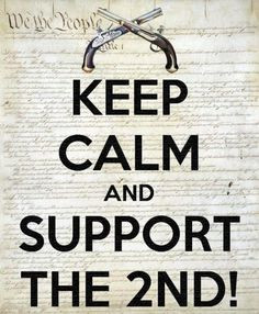 ... the right of the people to keep and bear arms, shall not be infringed