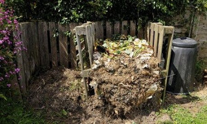 compost-heap-008.jpg