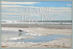 ... Blues Calm Inspiration Glittery Sparkly Sunrise Seagull Gull Seabird