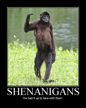 Demotivational Poster- Shenanigans