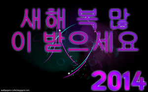 korean new year 2014 새해 복 많이 받으세요 korean new ...