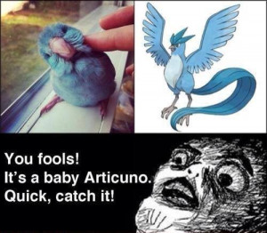 Top Ten Pokemon Images Quotes and Memes