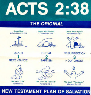 How many believe in the Acts 2:38 plan of salvation