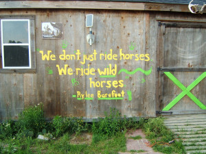 msindianhorses.blogspo...