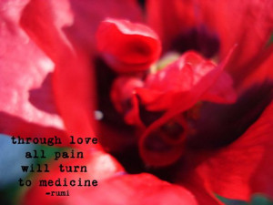Poppy Photo with Rumi Quote