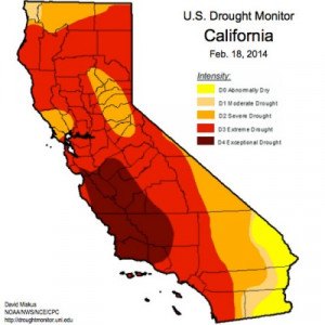 Submitted by Chris Bowman on February 22 2014 3 26pm