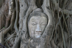 who was siddhartha gautama buddha