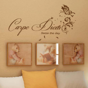 Carpe Diem Seize the Day Wall Quotes / Wall Stickers/ Wall Decals from ...