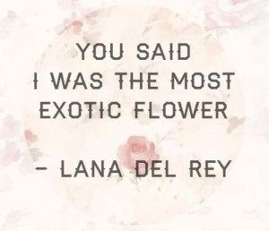 ... the most exotic flower -Lana Del Rey Million Dollar man #love #quote