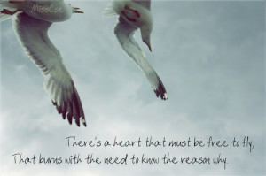 bird, birds, burning, flying, free, freedom, heart, heaven, love ...