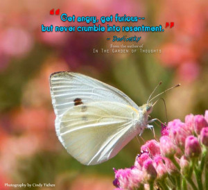 Found on Uploaded by user