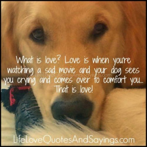 Dog Love Sayings What is love?