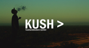 The Kush And Wizdom Store...