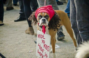 Funniest Dog Halloween Costumes Ever