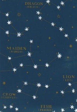 Ralph Lauren Constellation Wallpaper...my boys would love this!!