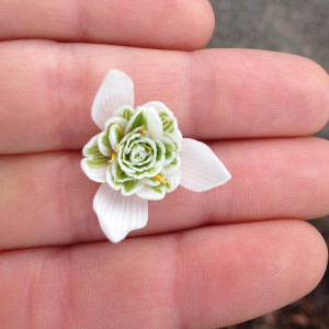 Spring is just around the Corner!