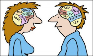 Cartoon: Male and female brains (medium) by Ellis Nadler tagged brain ...
