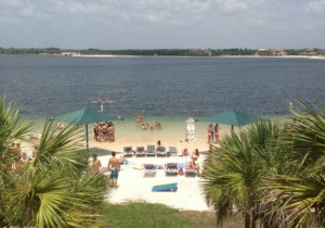 ... beach at Florida Gulf Coast University. (Courtesy of Chase Fieler