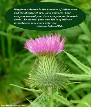 Cheer Up Quotes - Cheerful Quotes