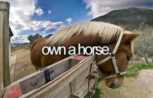 Own a horse