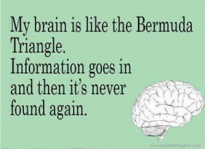 Funny quotes thoughts brain bermuda triangle information great best