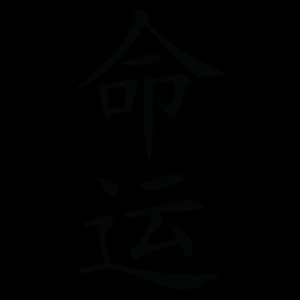 Destiny Chinese Symbol Wall Quotes™ Wall Art Decal