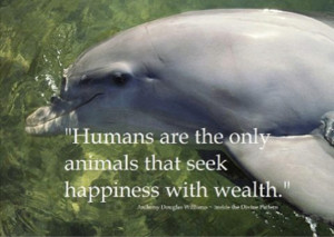 Humans are the only animals that seek happiness with wealth