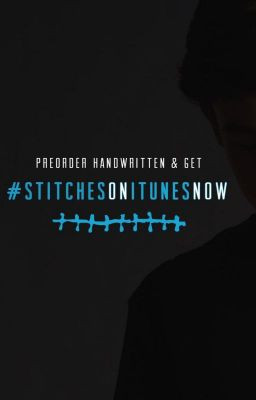 Stitches | Shawn Mendes LYRICS