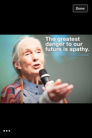 Inspirational quote Jane Goodall