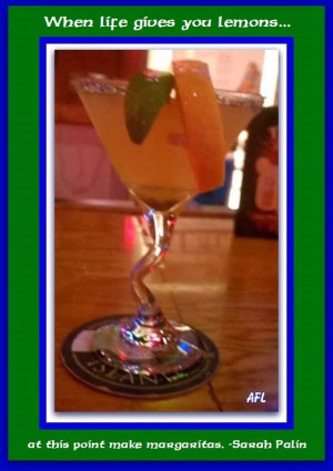 Barracuda Brigade: Sarah Palin Quotes