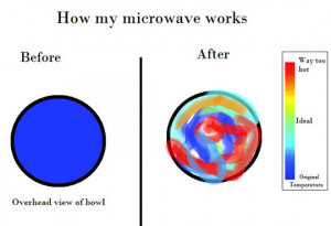 Funny How Microwave Works...