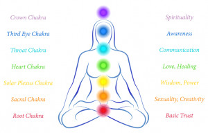 It’s important to understand the functions of the main seven chakras ...