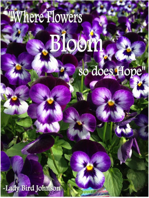 ... Quotes, Flower Power Quotes, Inspirational Garden Quotes, Plants