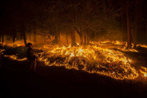 Devastating Forest Fires Wreak Havoc in California (24 pics)