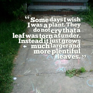 Quotes Picture: some days i wish i was a plant they do not cry that a ...