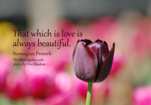 beautiful love quotes, That which is love is always beautiful.