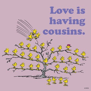 Love is having cousins.”