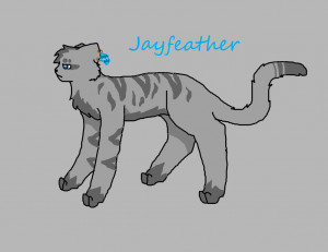 Just Jayfeather Character...