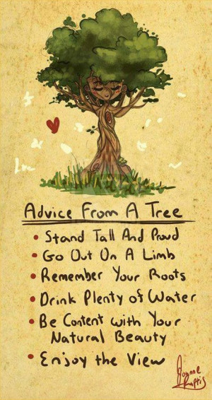Live Life Like a Tree