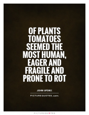 ... the most human, eager and fragile and prone to rot Picture Quote #1