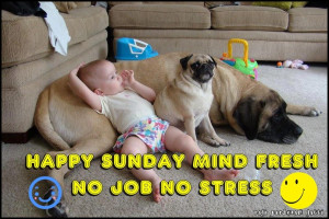 Today Is Sunday - Is This A Day Of Rest For You?