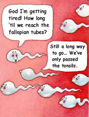 Previously, researchers had been concerned that keeping sperm frozen ...