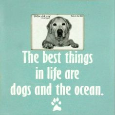 The best things in life are dogs and the ocean. Beach and Ocean Quotes ...