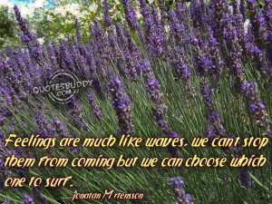 Emotion quotes, mixed emotions quotes, emotional quote