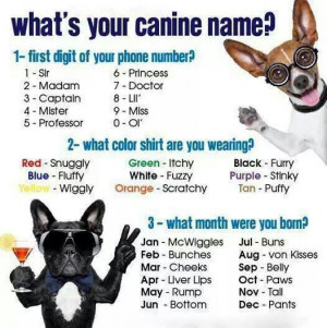 What's your Canine Name??