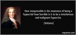 ... horrible is it to be a mischievous and malignant hypocrite. - Voltaire