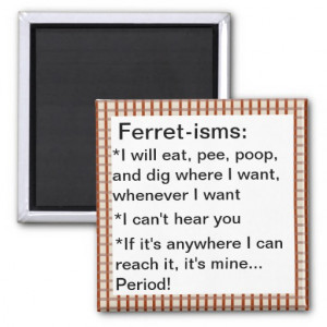 Funny Ferret-ism Quotes Refrigerator Magnets